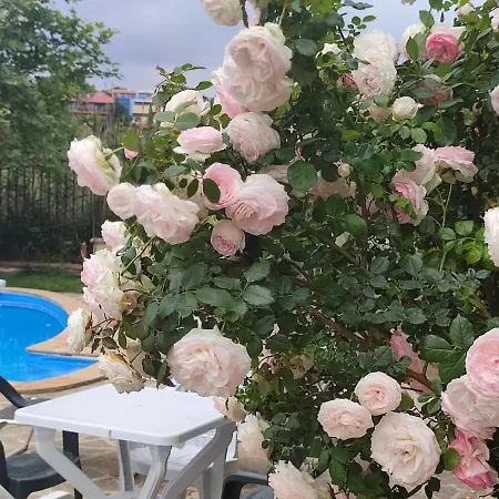 созополски рай 아파트